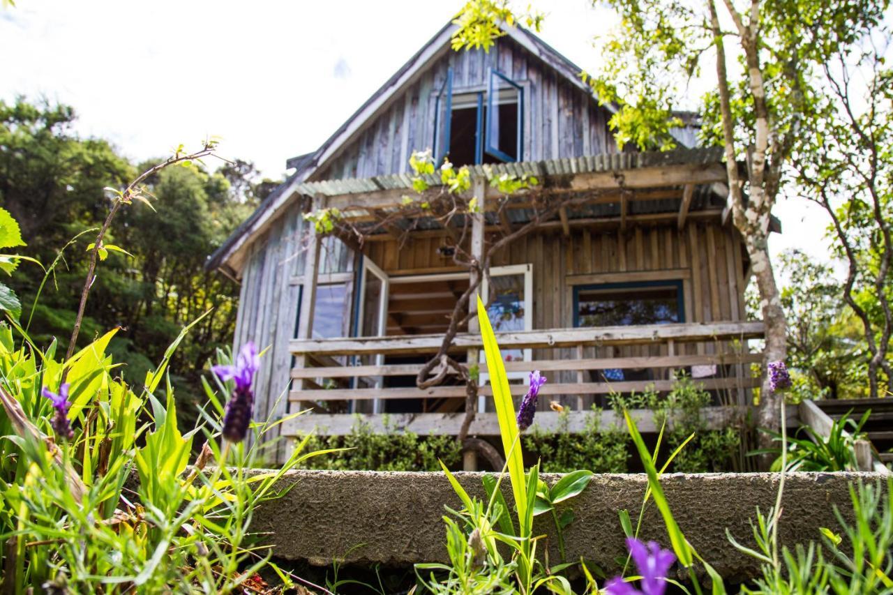 Fern Lodge Coromandel Zewnętrze zdjęcie